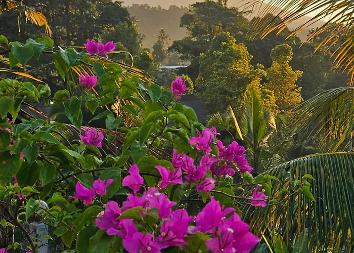 Kubu Dangin Ogang Sidemen (Bali)